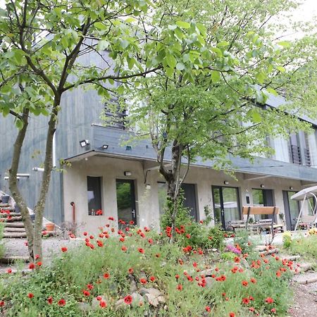 Nika Vacheishvili's guest house Didi Ateni Exterior foto