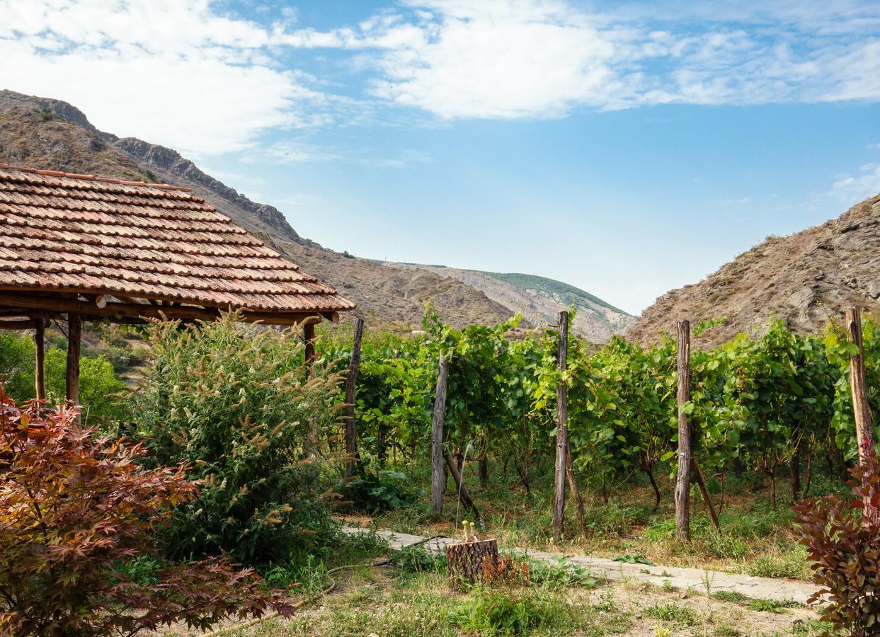 Nika Vacheishvili's guest house Didi Ateni Exterior foto